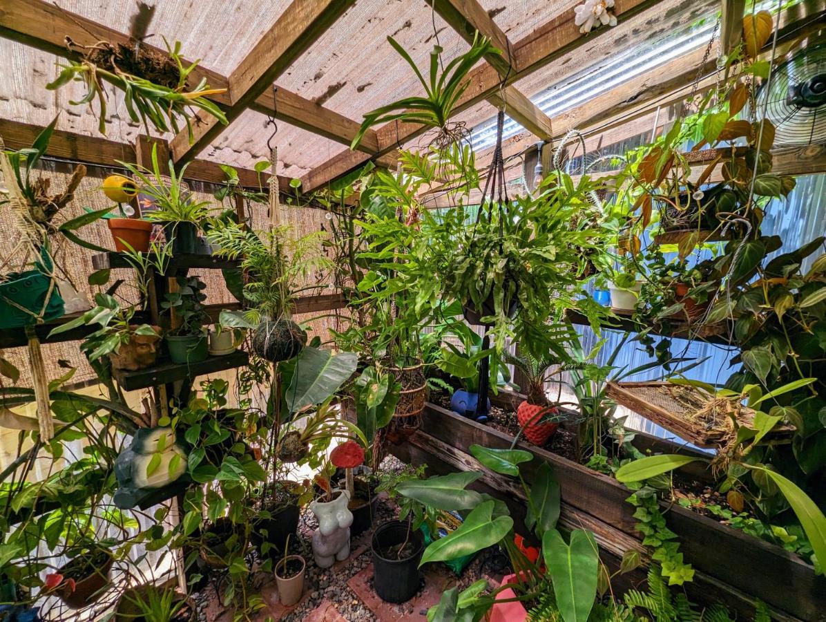 Cozy Af Tiny-House Oasis Villa Tampa Luaran gambar