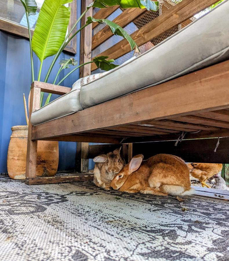 Cozy Af Tiny-House Oasis Villa Tampa Luaran gambar