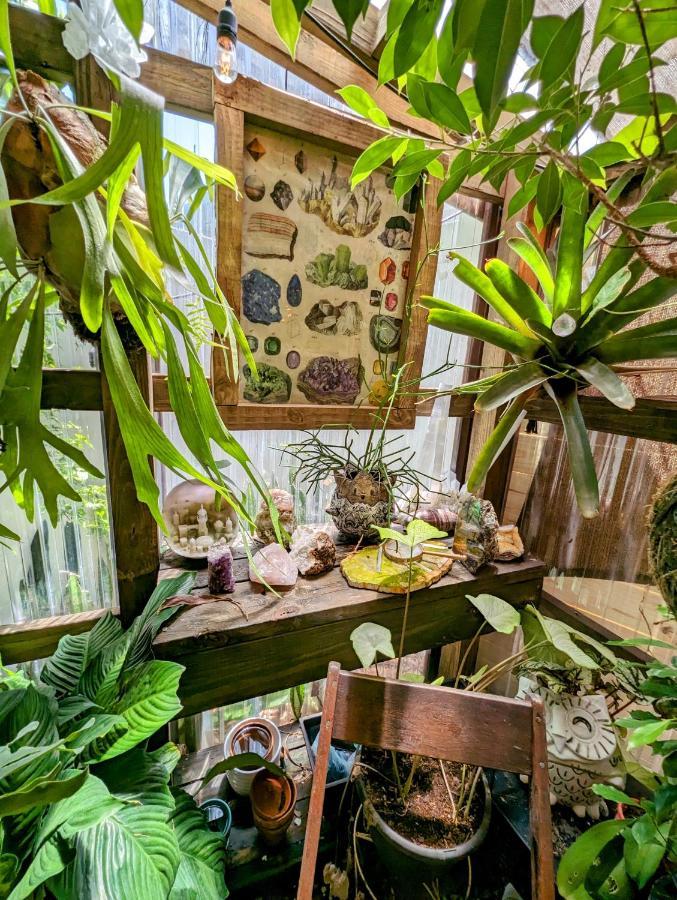 Cozy Af Tiny-House Oasis Villa Tampa Luaran gambar