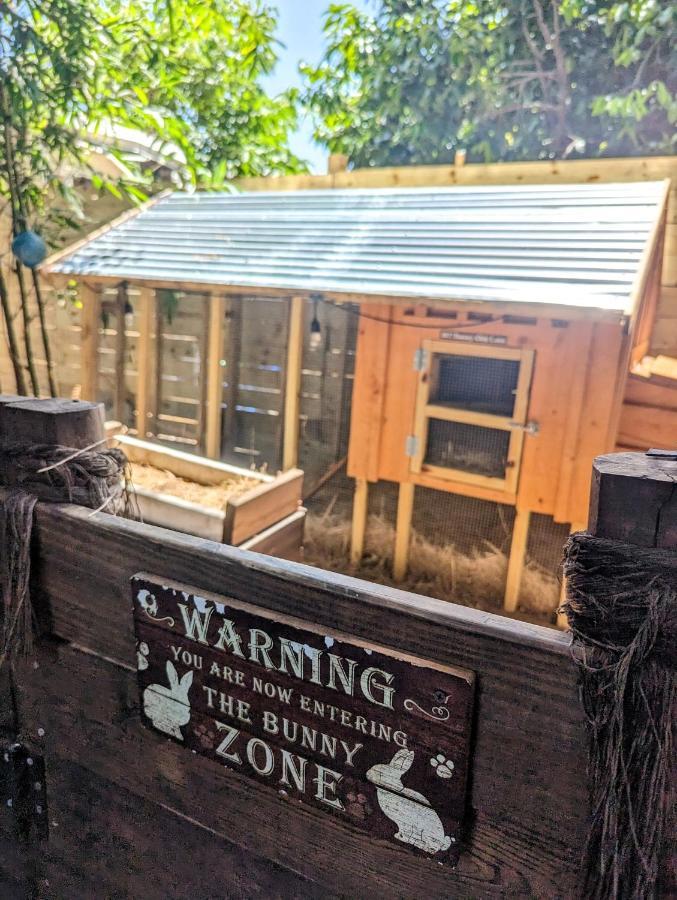 Cozy Af Tiny-House Oasis Villa Tampa Luaran gambar