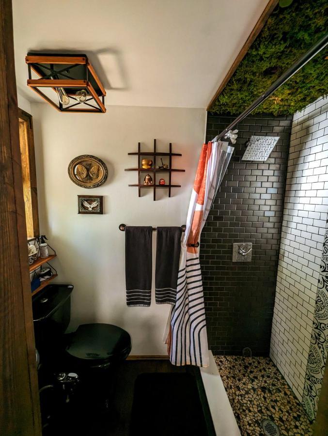 Cozy Af Tiny-House Oasis Villa Tampa Luaran gambar
