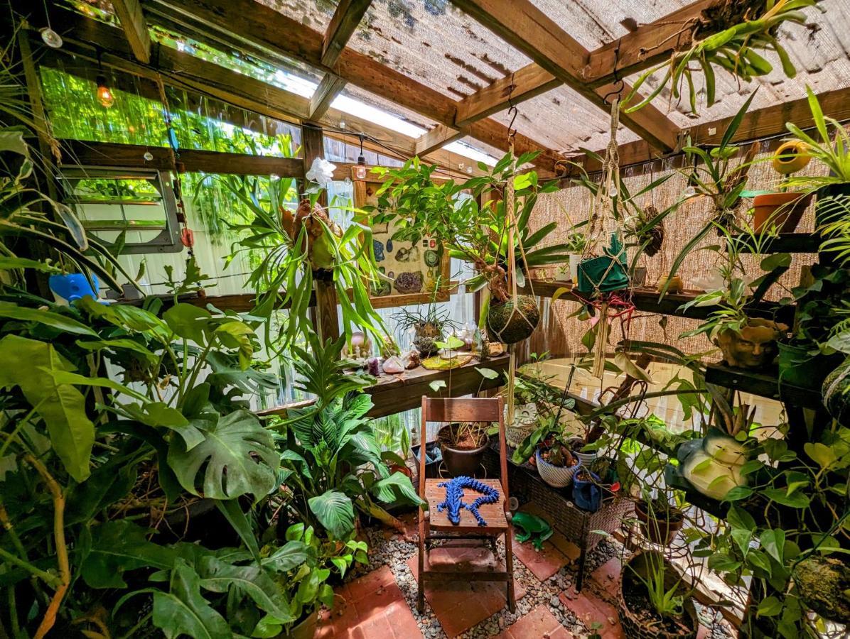 Cozy Af Tiny-House Oasis Villa Tampa Luaran gambar